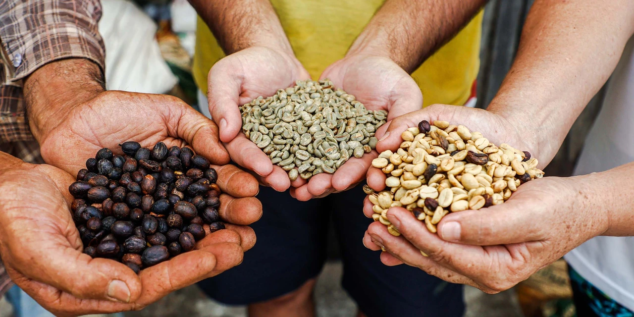 Governo levará empresários e profissionais do Paraná ao Salão Nacional do Turismo