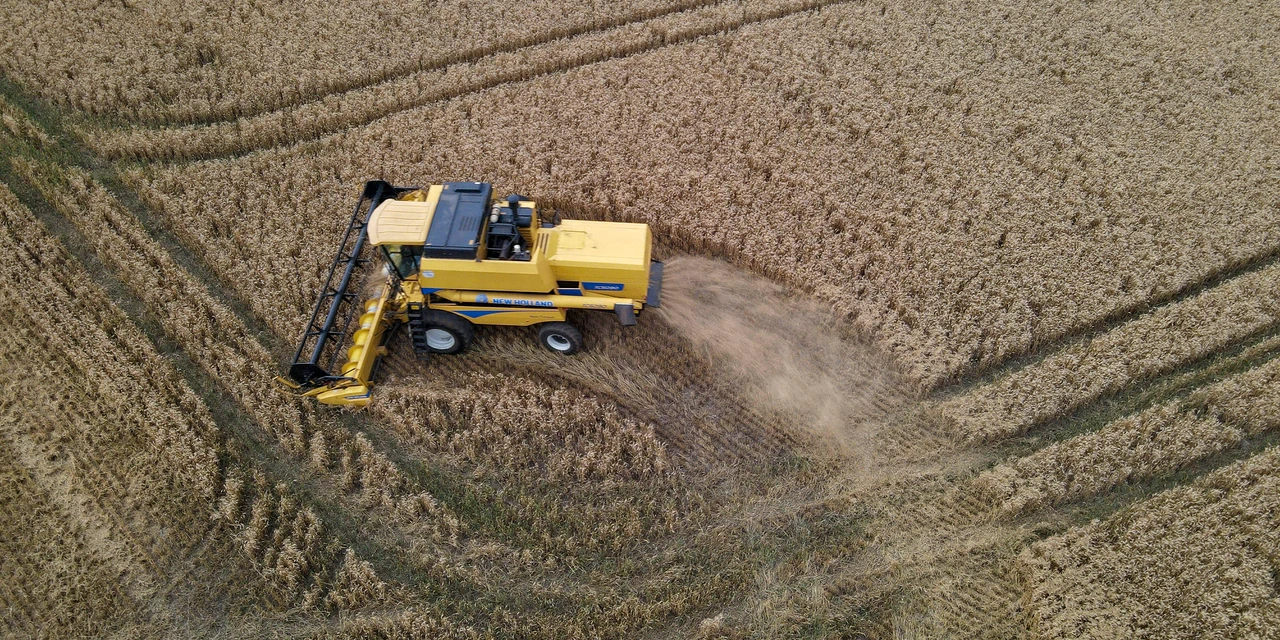 VBP 2023: Cidades dos Campos Gerais estão entre as campeãs do agronegócio paranaense