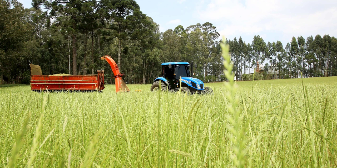 Governo renova Fundo de Aval para garantia em financiamentos à agricultura familiar