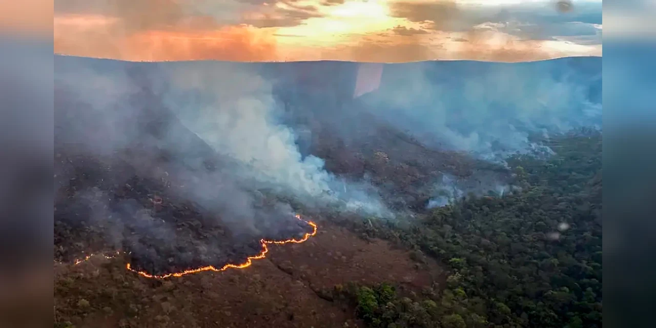 Brasil registrou mais de 5 mil focos de incêndios florestais nas últimas 24 horas