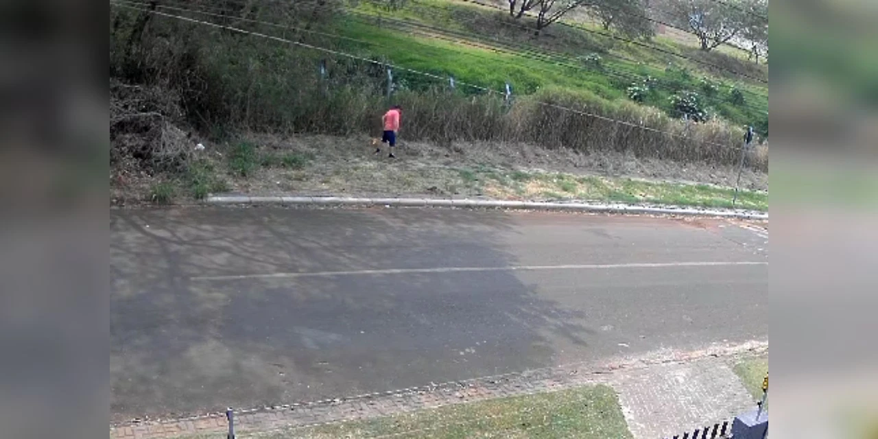 Homem é preso por crime ambiental ao colocar fogo em vegetação no PR