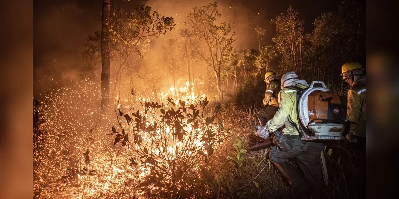 Brasil teve 11,39 milhões de hectares atingidos pelo fogo este ano