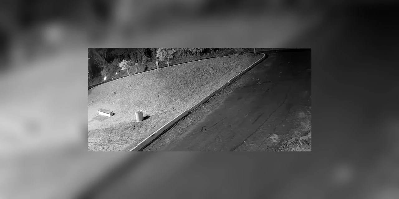 Homem que causou incêndio próximo ao Parque Margherita Masini é indiciado; vídeo mostra início das chamas