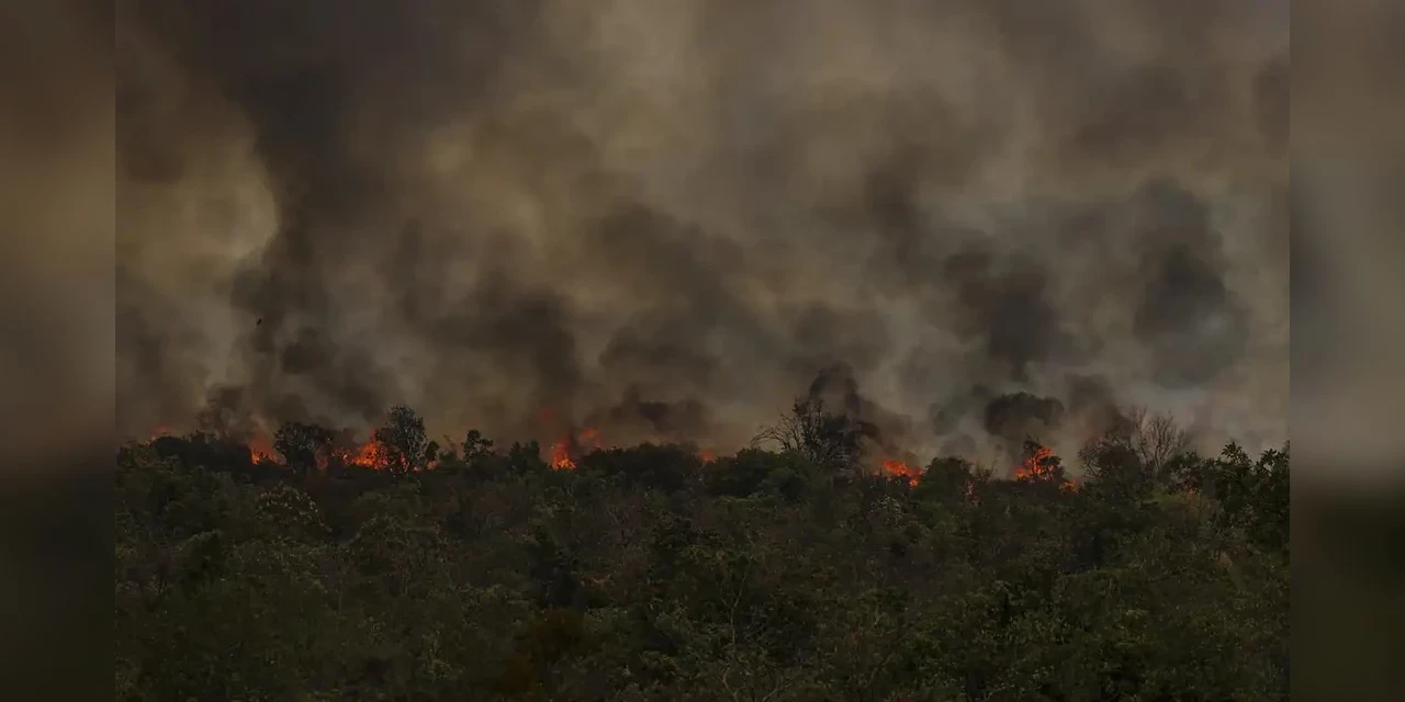 Secretário do MMA vê conotação política em queimadas na Amazônia