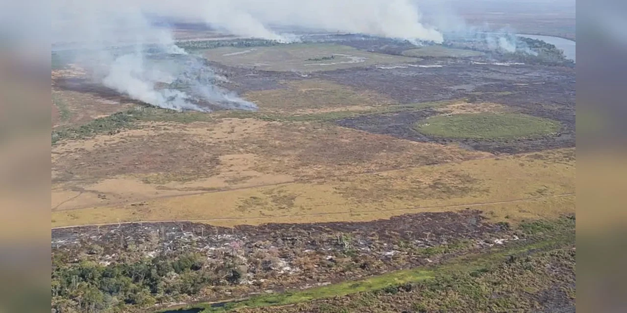 Emissão de gases por incêndios é recorde em dois estados