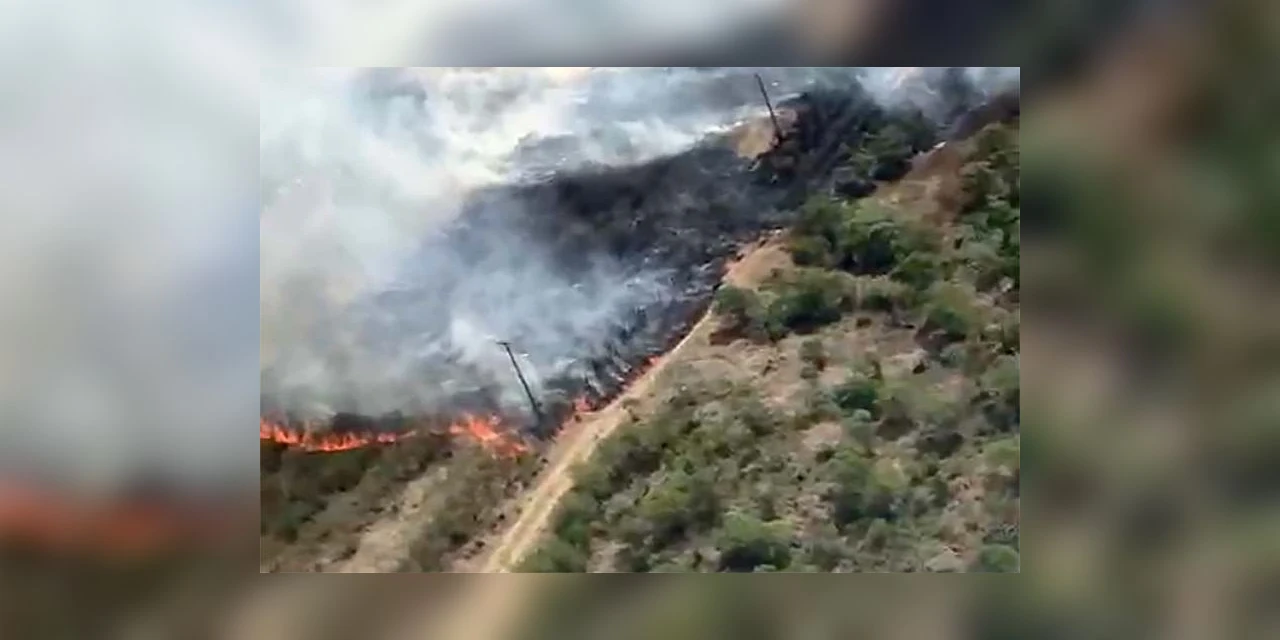 Avião contratado pelo Estado é acionado para combater incêndio florestal nos Campos Gerais