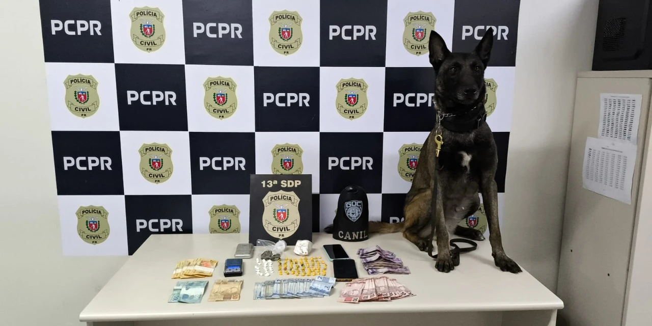 Polícia Civil e Guarda Municipal cumprem mandados de busca e apreensão no bairro Boa Vista; duas pessoas acabaram presas