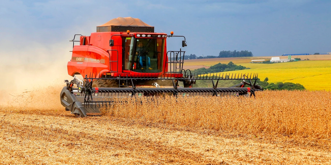 Chuvas favoreceram plantio de verão; produção estimada de soja é de 22,4 milhões de toneladas