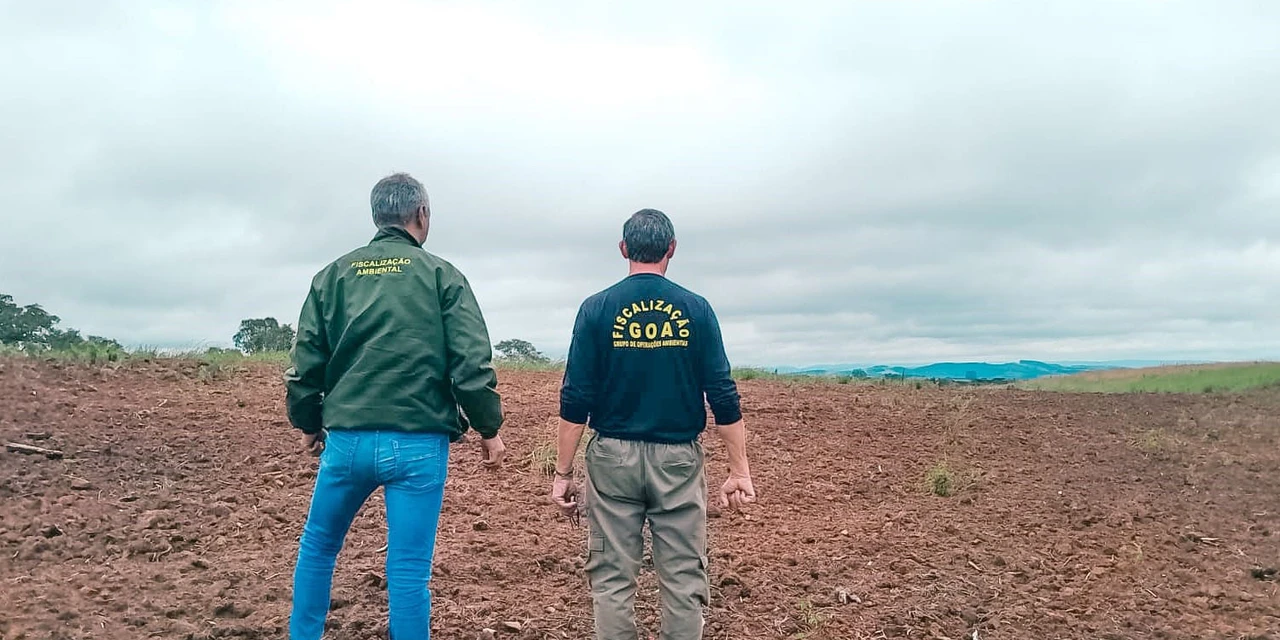 Com ação direta do IAT, Operação Mata Atlântica em Pé aplica R$ 13 milhões em multas