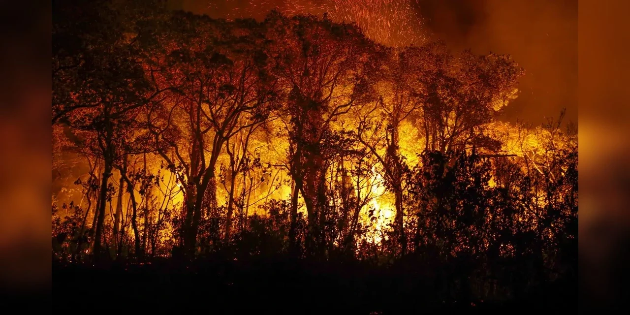 PF investiga incêndios criminosos no Pantanal