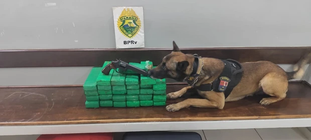 Polícia Rodoviária apreende revólver e mais de 27 kg de maconha em bagagem de ônibus interestadual