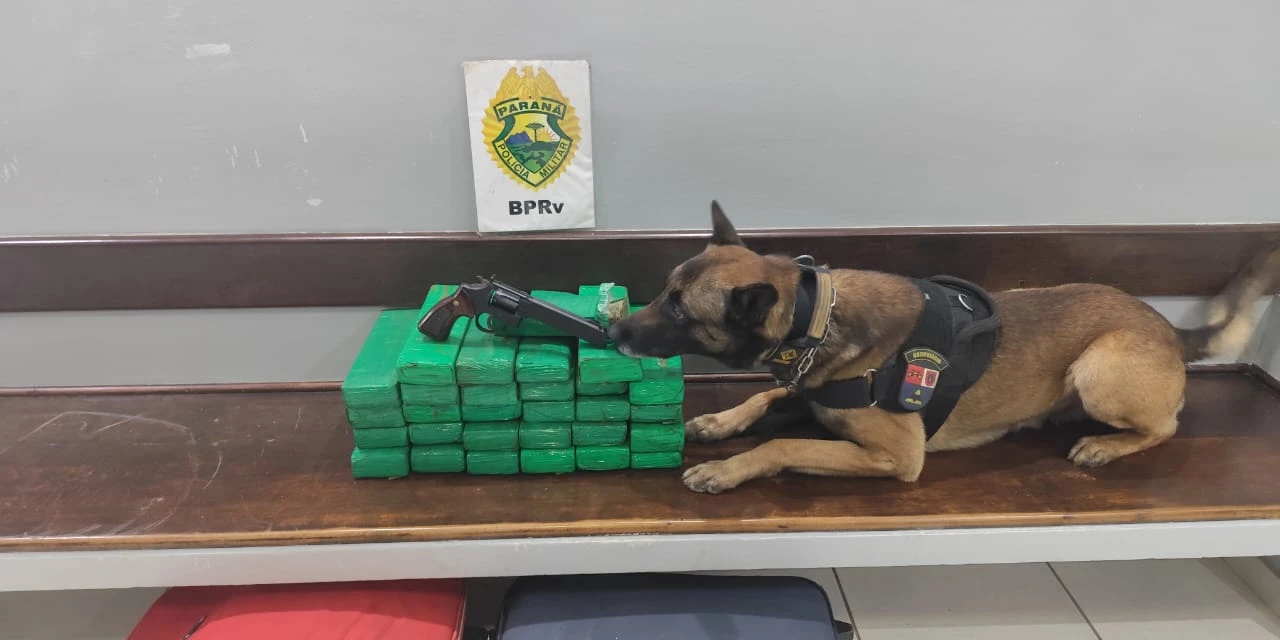 Polícia Rodoviária apreende revólver e mais de 27 kg de maconha em bagagem de ônibus interestadual