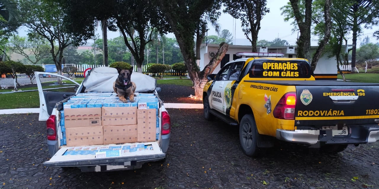 Após perseguição na BR-373, Polícia Rodoviária apreende veículo com mais de mil pacotes de cigarros paraguaios