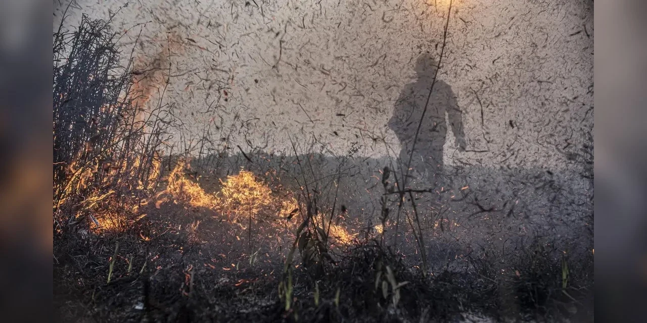 Focos de incêndios no Brasil já são 76% maior que em 2023