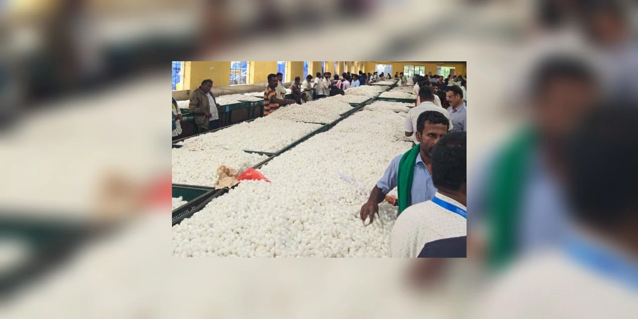Paraná conhece experiência da Índia para impulsionar cadeia da sericicultura