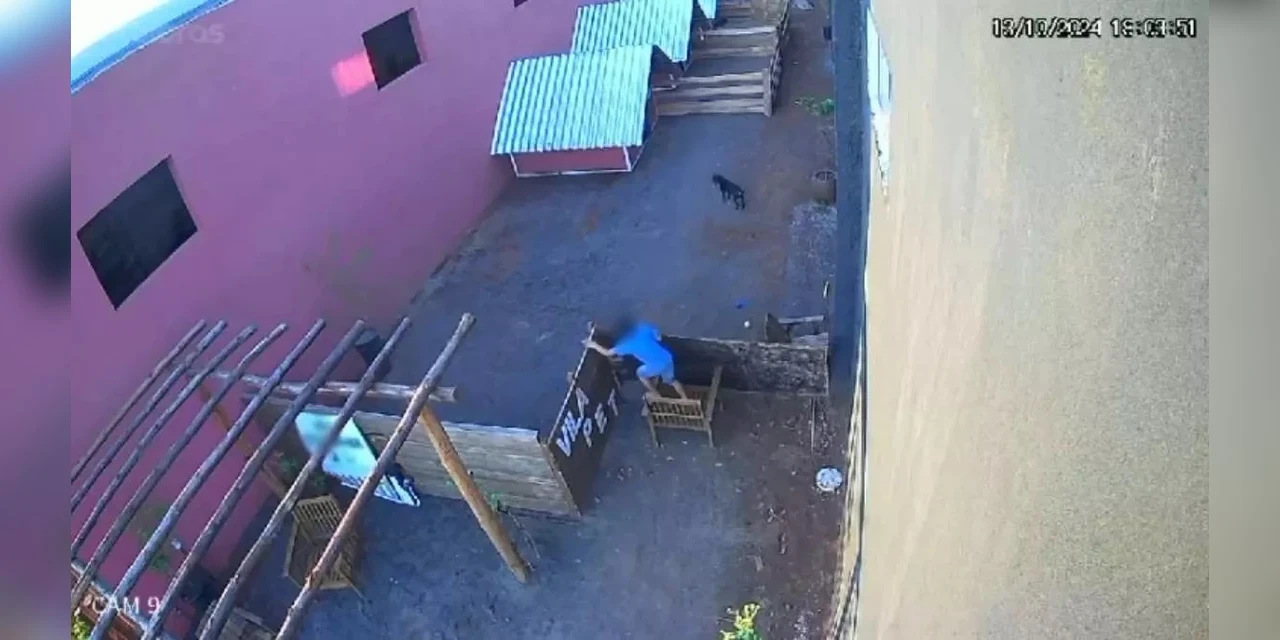 Caso de criança que matou 23 animais em hospital veterinário no Paraná não será punido, diz polícia