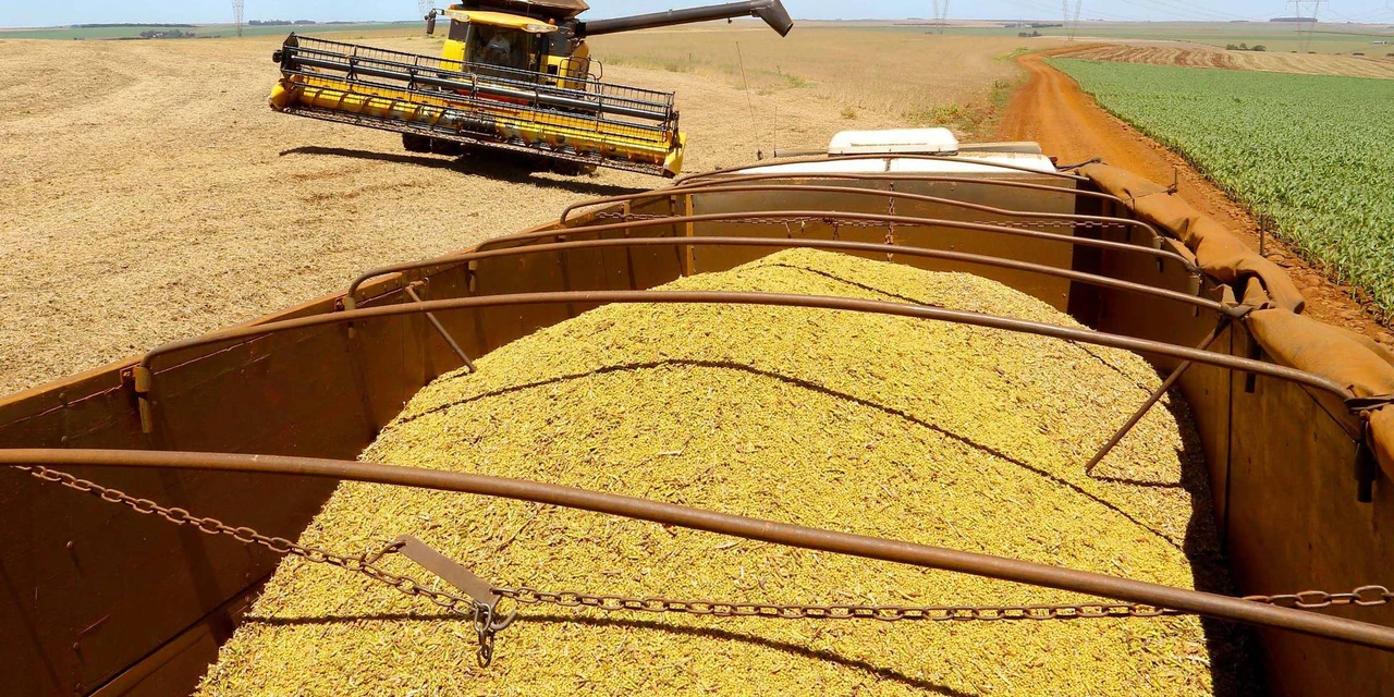 Produção de grãos terá crescimento recorde de 8,3%, prevê Conab