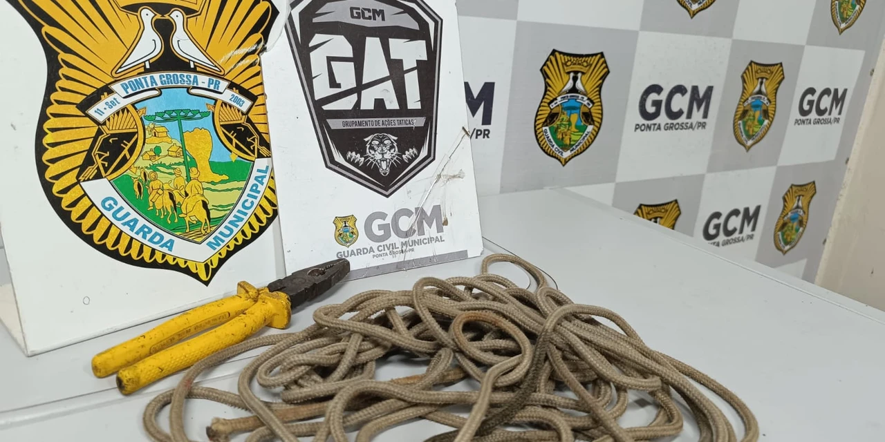 Dupla invade CRAR para furtar cavalo; um suspeito foi detido após tentativa de fuga