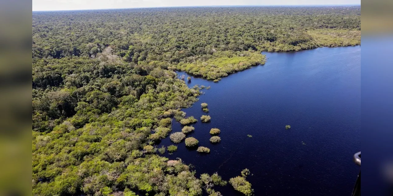 Cinco países aderem a fundo para conservação de florestas tropicais
