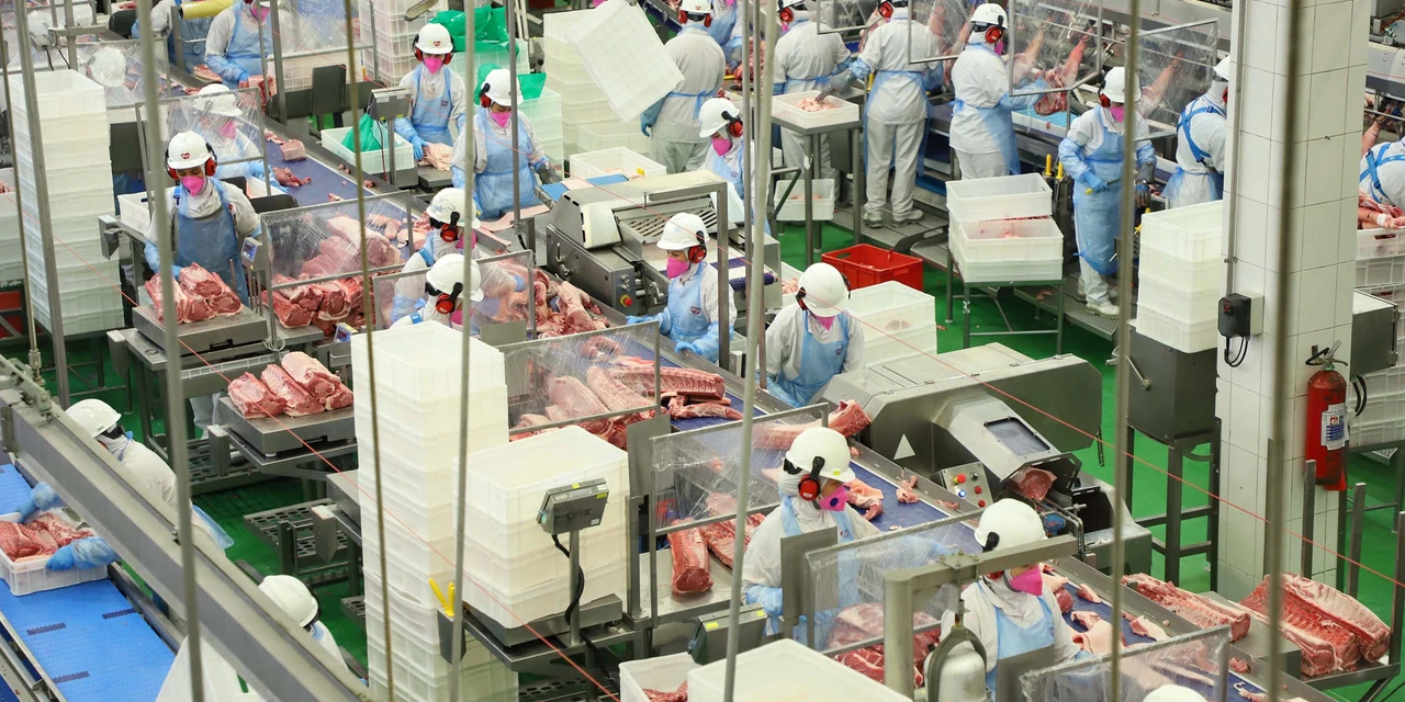 Paraná bateu recorde em exportação de carne suína em setembro