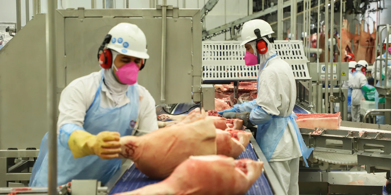 Indústrias de suínos do Paraná geraram mais de 4 mil novos empregos no ano passado
