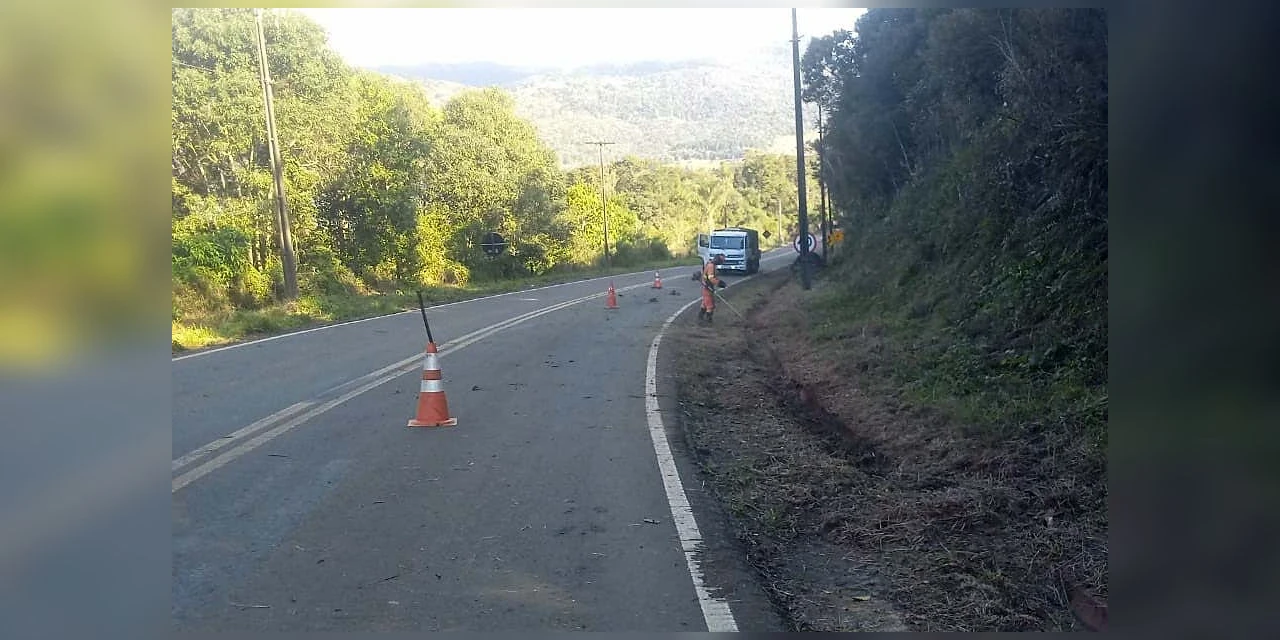 DER/PR publica edital do novo programa de conservação de faixa de domínio de rodovias