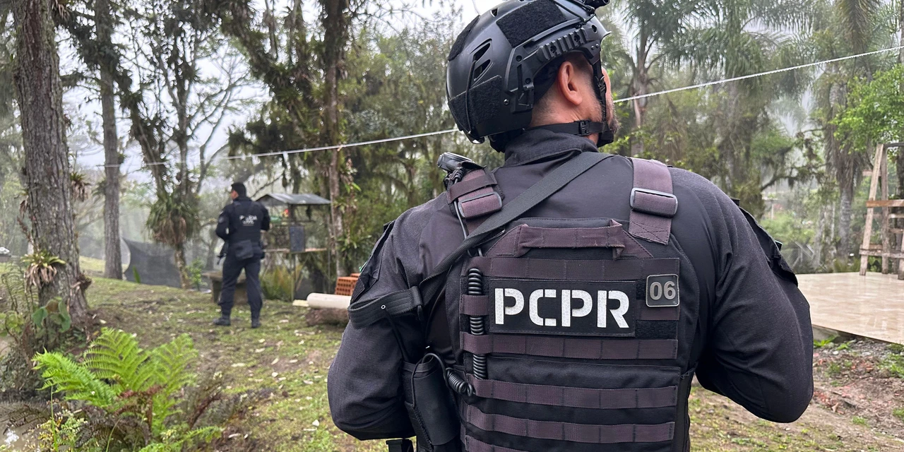 Polícia Civil prende 12 pessoas em operação contra o tráfico de drogas em quatro cidades no PR