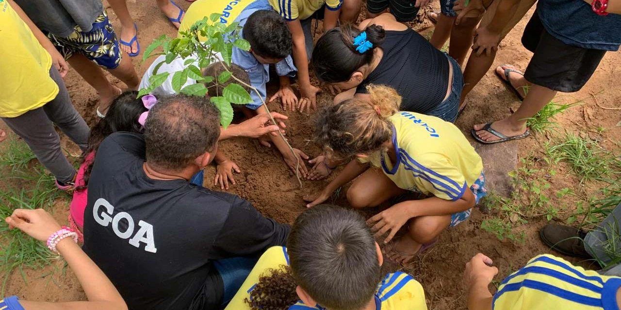 Com plantio de 6,8 mil mudas, Paraná supera em 37% meta para Semana do Rio