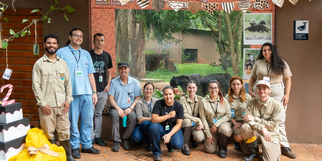 Itaipu celebra Dia Internacional da Onça-pintada