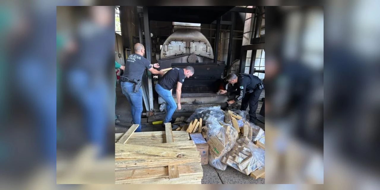 PCPR incinera mais de 470 quilos de entorpecentes em PG