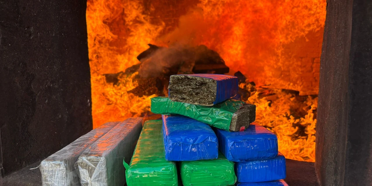 Mais de 530 quilos de drogas são incinerados em Palmeira