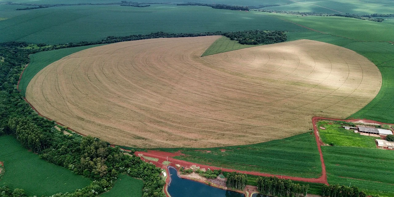 Safra 24/25 do Paraná pode chegar a 25,3 milhões de toneladas de grãos