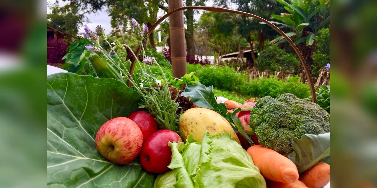 Líder no país, Paraná chega a 319 municípios no Sistema de Segurança Alimentar e Nutricional