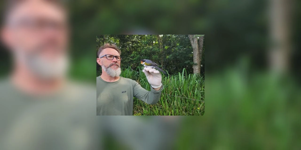 Itaipu promove inventário de aves no Corredor Santa Maria