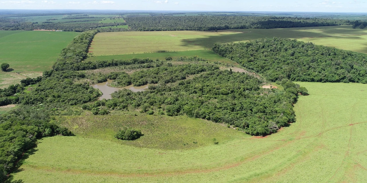 86º aniversário do PNI: Itaipu promove ações que contribuem com a saúde ambiental do Parque