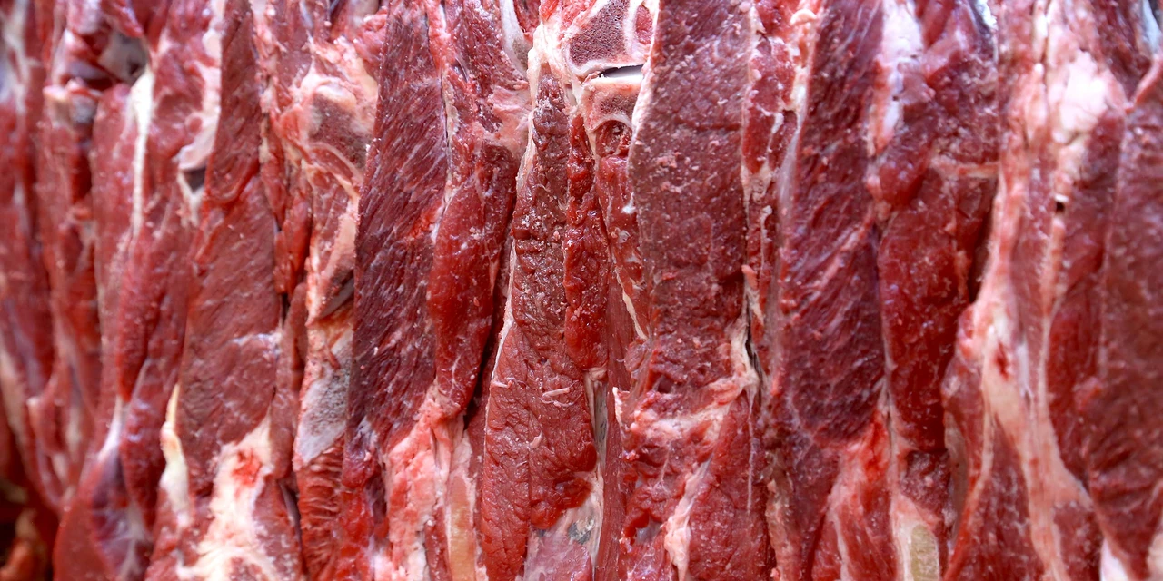 Com impulso em carne bovina, Paraná mantém liderança em exportação de proteínas animais