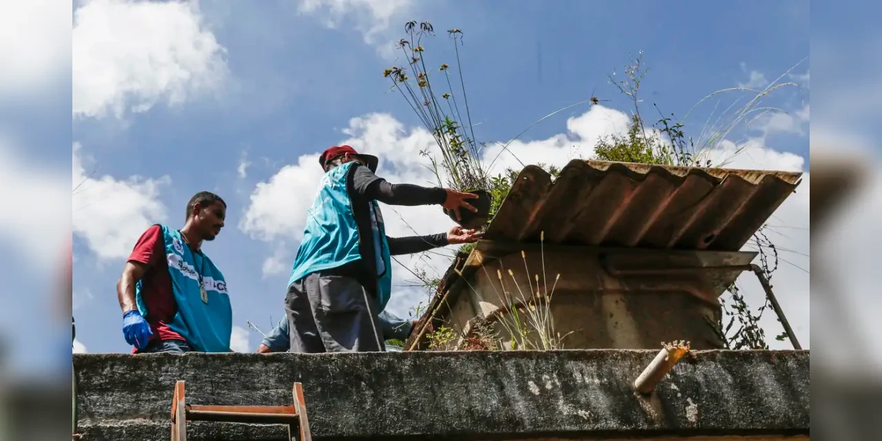 Saúde reforça monitoramento e ações de controle da dengue no Paraná e em outros três estados