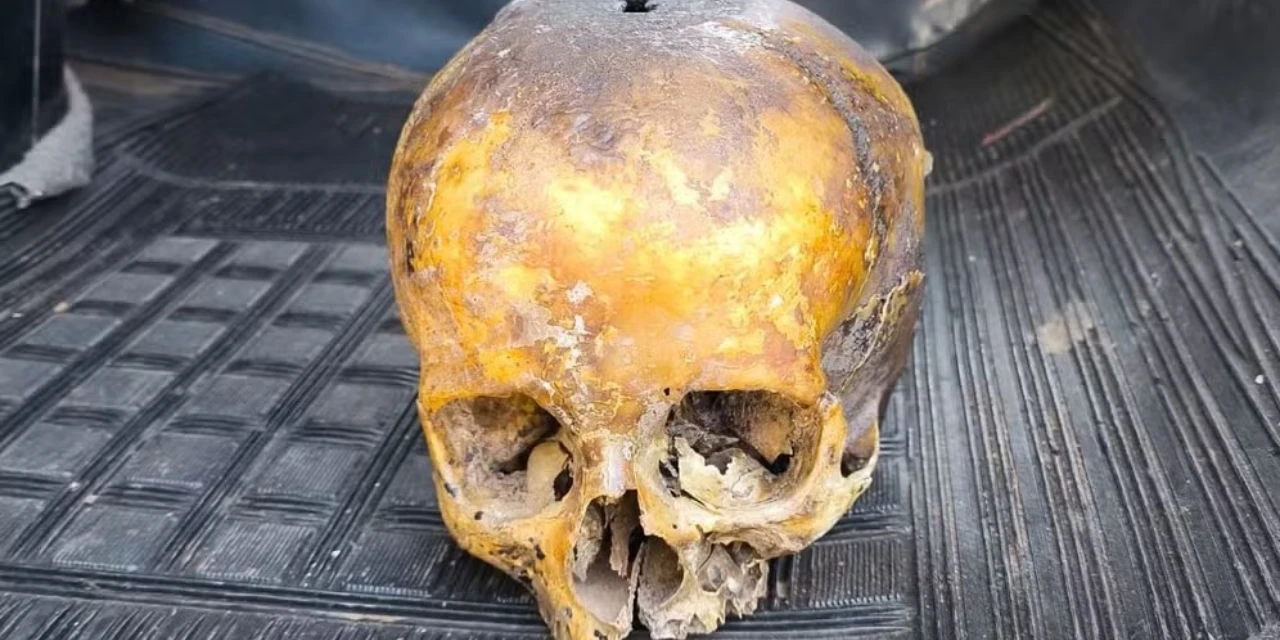 Crânio é descartado em lixeira e mobiliza polícia no Paraná