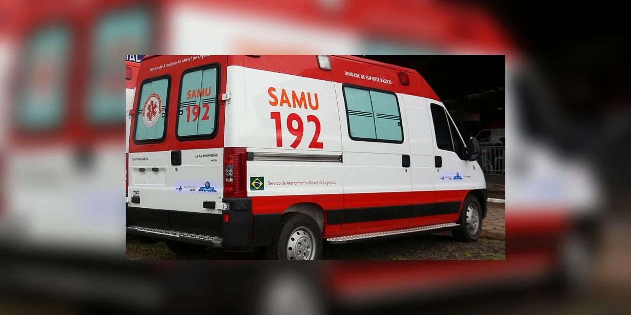 Criança é atacada por pitbull em PG e vai parar na UTI