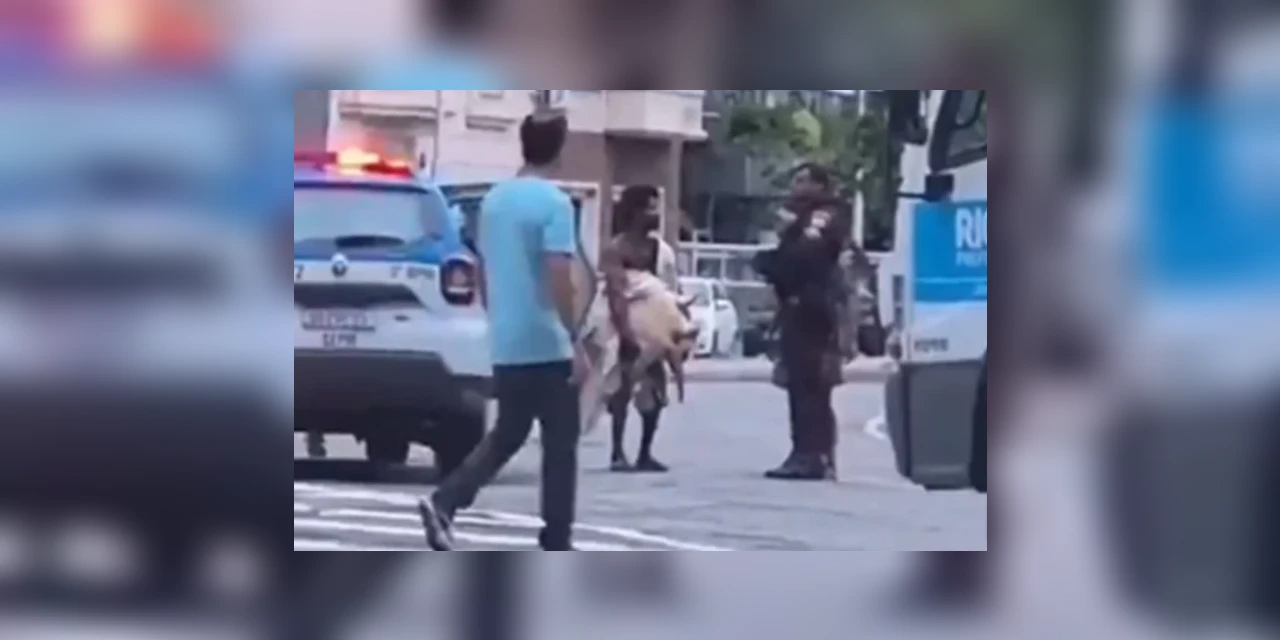 Polícia é acionada após homem tentar roubar tartaruga marinha de praia; veja o vídeo