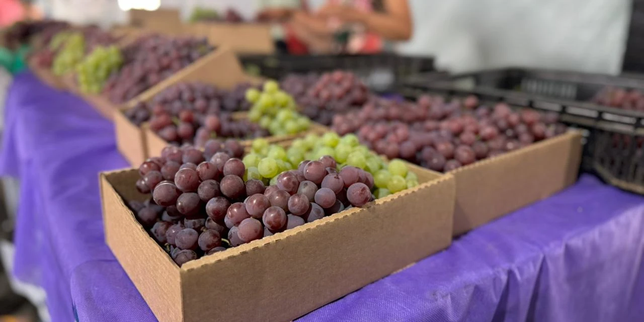 Ao vivo - Fesuva 2025 em PG; confira preços e produtos disponíveis