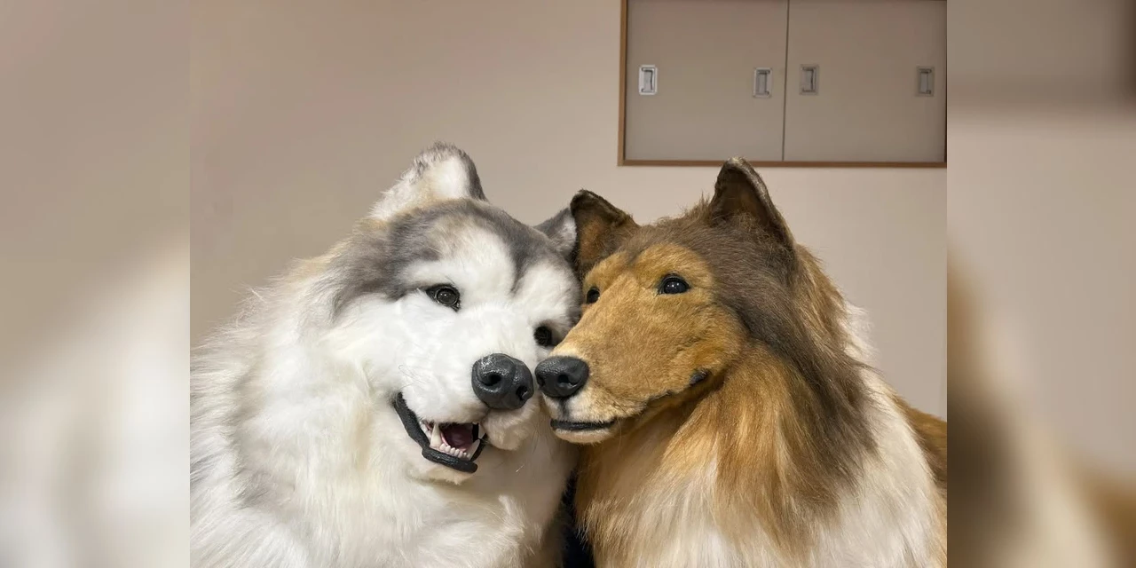 Homem se veste de cão e cobra ingresso para 'zoológico'