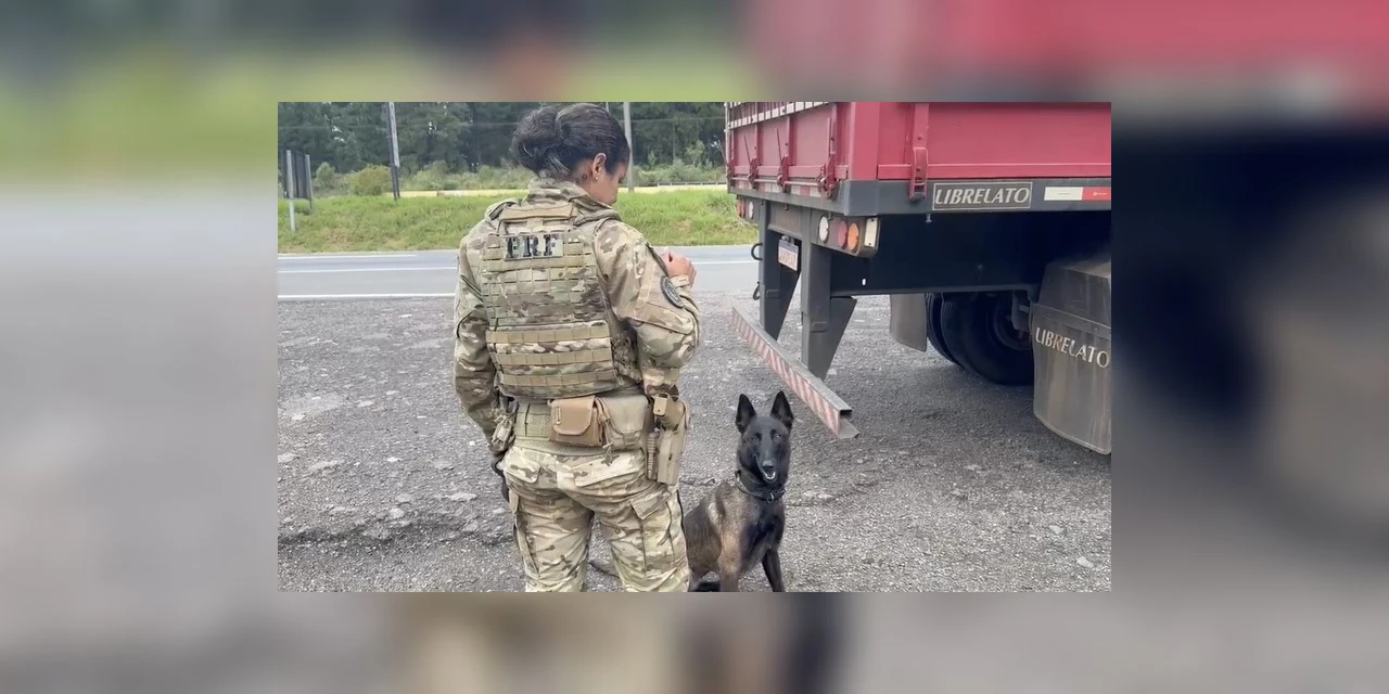 Vídeo: PRF apreende mais de 100 quilos de cocaína na região metropolitana de Curitiba
