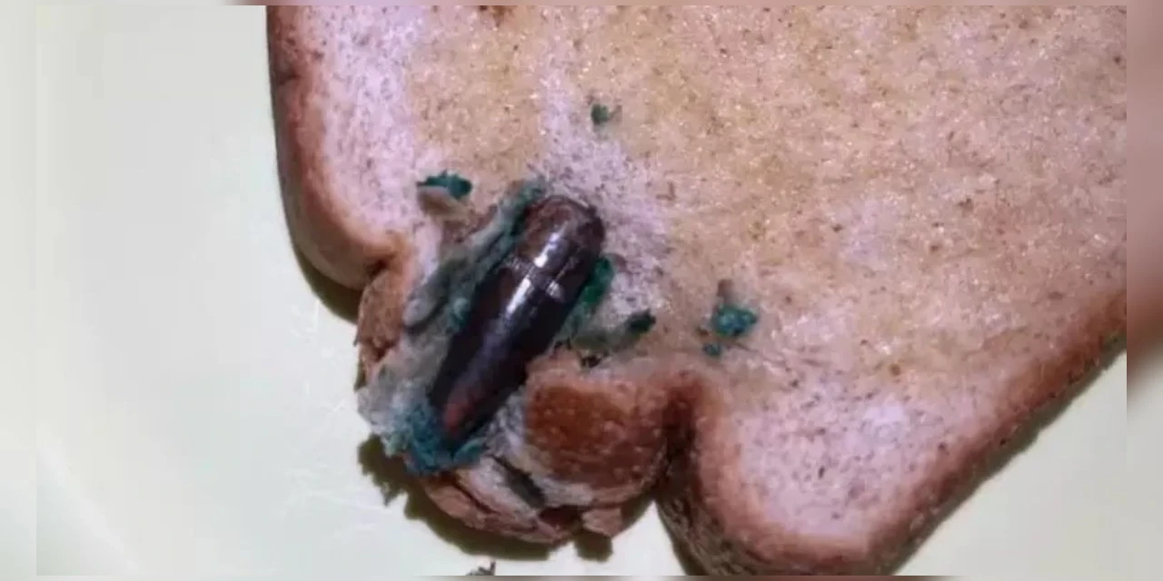 Mulher encontra bala de fuzil em pão de forma