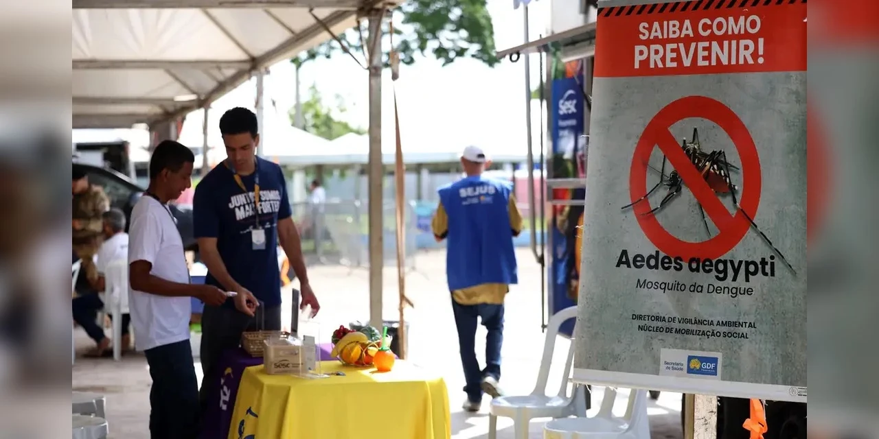 Casos de dengue no Brasil caem 60% nas primeiras semanas do ano