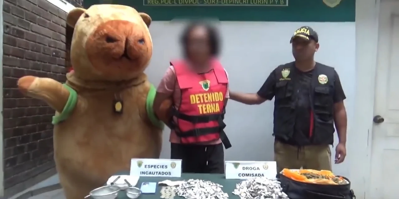 Vídeo: Policial vestido de capivara prende suspeito de tráfico de drogas