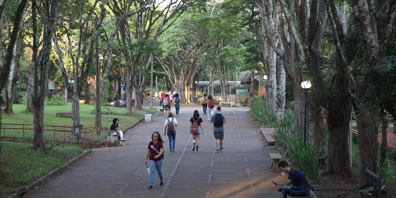 Aprova Paraná Universidades: matrículas iniciam nesta quarta e seguem calendário das instituições
