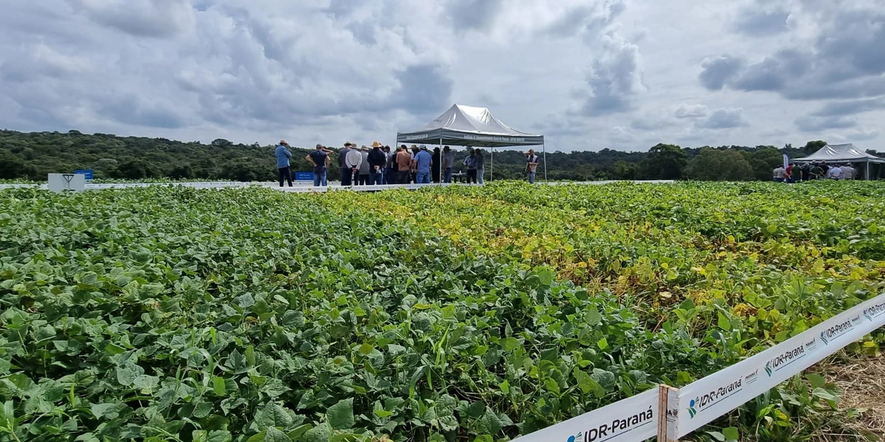 PG recebe evento tecnológico sobre colheita de feijão e milho