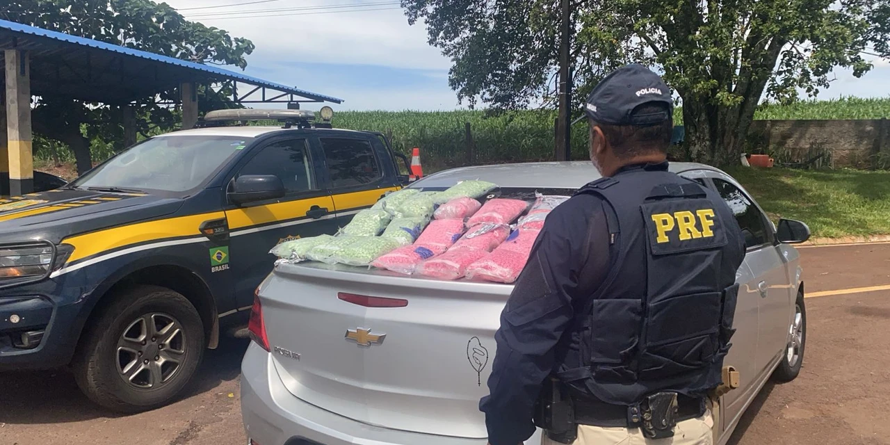 No Paraná, PRF realiza segunda maior apreensão de ecstasy da história