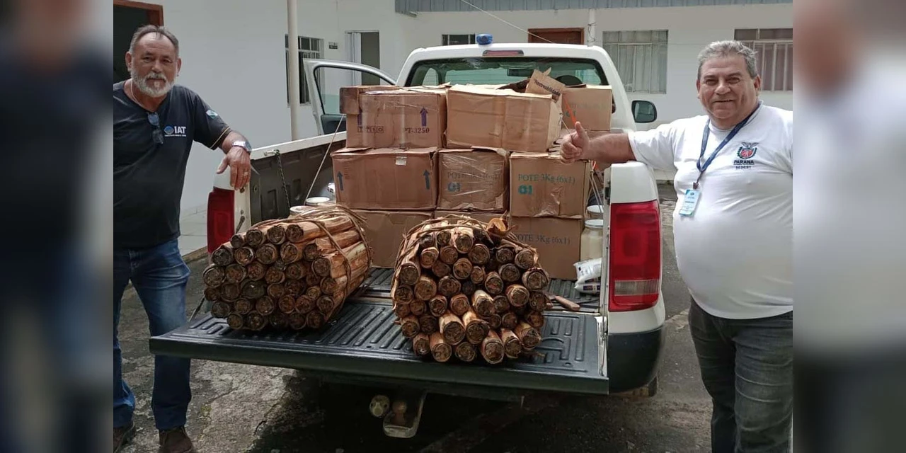 IAT apreende 318 quilos de palmito industrializado de maneira clandestina
